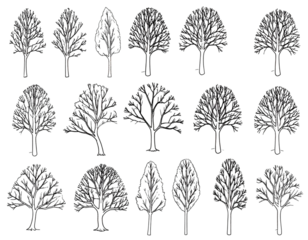 .Winter trees silhouettes collection. Set of isolated vector design elements.. Hand drawn illustration in sketch style. Nature template. Clipart