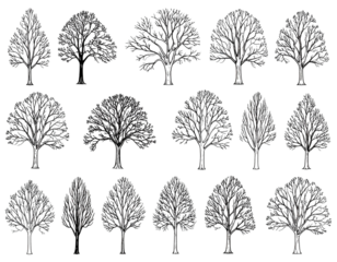 .Winter trees silhouettes collection. Set of isolated vector design elements.. Hand drawn illustration in sketch style. Nature template. Clipart