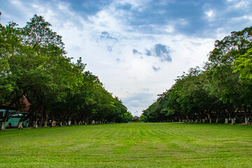 Expansive Green Lawn Stretching into Distance Under Bright Sunlight