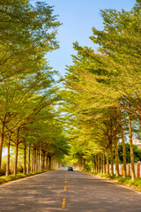 Panoramic View of Urban Road at Sunset with City Skyline Backdrop