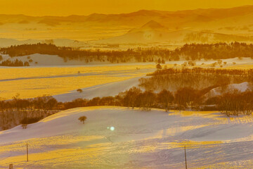 Fototapeta premium Golden Snow-Covered Bashang Grasslands in Inner Mongolia During Winter Sunset