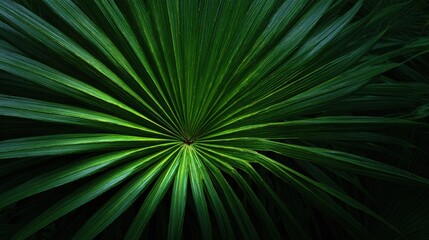 Fototapeta premium Close-up of a green palm leaf radiating vibrant energy and natural beauty.