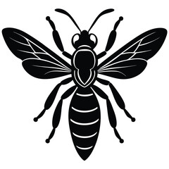 wasp vector