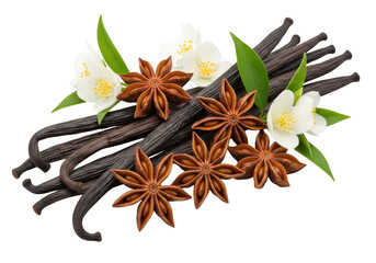 Fototapeta premium Vanilla beans and star anise isolated on transparent background