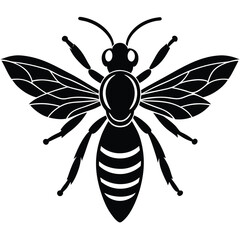 wasp vector