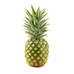 Fototapeta premium Single pineapple front view