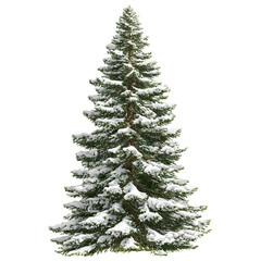 Fototapeta premium Snow covered evergreen tree illustration