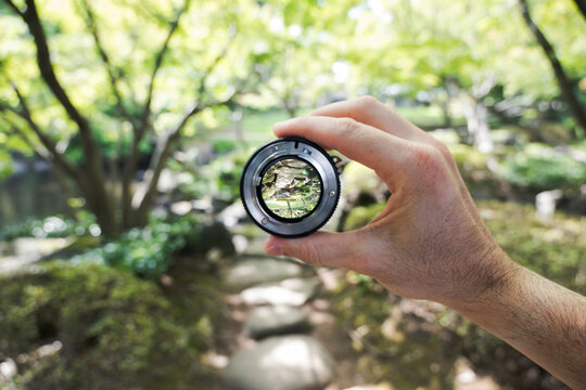 Lens focus on forest stream through camera lens
