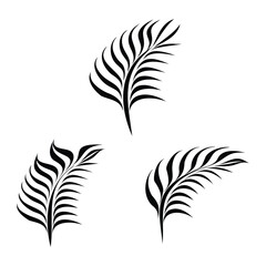 Black Palm Leaf Silhouette Collection