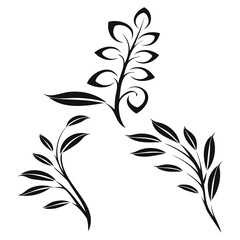 Leaf and Flower Silhouette Icon Set – Botanical Shapes and Floral Elements