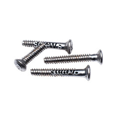 Stainless steel screws isolated on black background