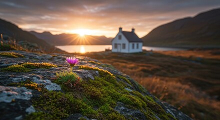 Sunset over lake, tiny flower, cottage, mountains