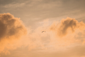 석양에 만난 여주