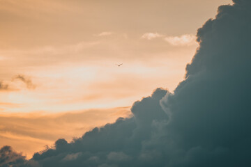 석양에 만난 여주