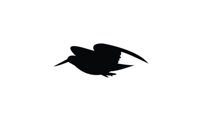 Flying American woodcock bird Silhouette Design  And Vector Illustration. 
