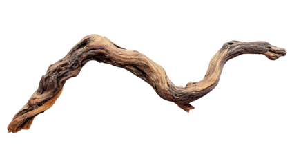 A sinuous, weathered piece of driftwood