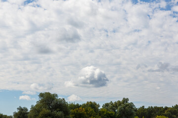 Fluffy cloud over green forest on a partly cloudy sky