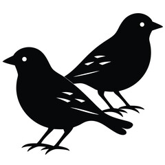weaver vector birds