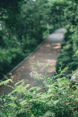 낙산공원 풍경들