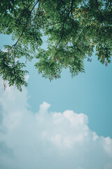 낙산공원 풍경들