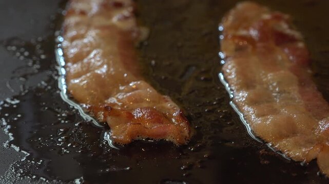 Sizzling bacon cooking in grease 4k