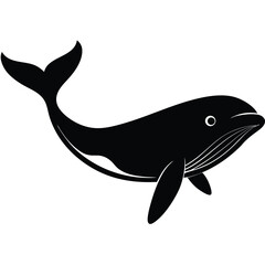 Obraz premium whale vector 
