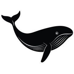 whale vector 