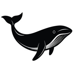 whale vector 