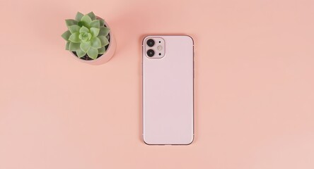 Pastel Flatlay with Pink Phone and Succulent on Soft Coral Background