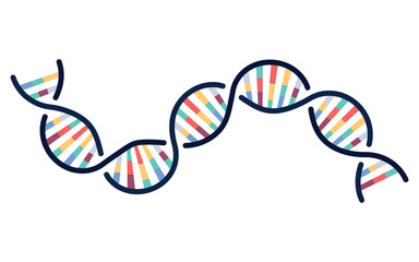 Fototapeta premium Curved colorful DNA helix icon symbolizing genetics, science, biology, healthcare, research, and biotechnology innovation.