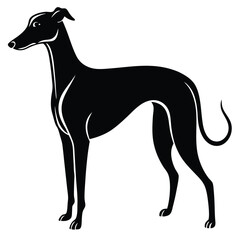 whippet vector