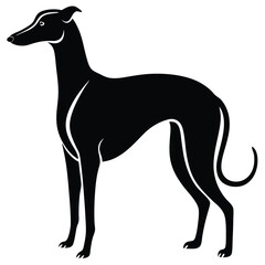 whippet vector