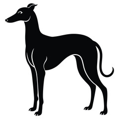 whippet vector