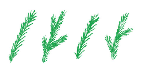 Set of hand drawn spruce branch clipart. Twig of coniferous tree doodle. Christmas and winter design element