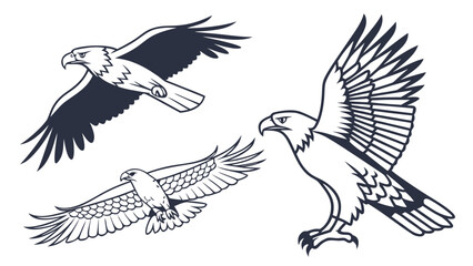 Obraz premium eagle vector illustration