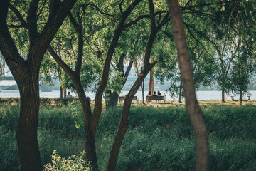 한강 시민 공원