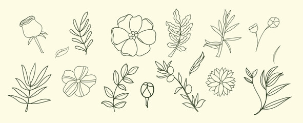 Botanical line art set with flowers and leaves, minimalist floral illustrations