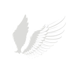 Fototapeta premium Detailed Gray Wing Illustration on a White Background Symbolic of Flight Freedom and Angelic Themes