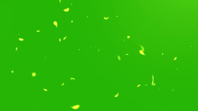 Falling Leaves Overlay Green Screen | Autumn Particles, Floating Leaves VFX Effect