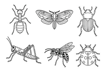 Collection of various insect illustrations in line art style. © Sultan Desain