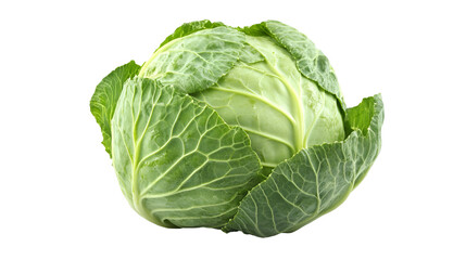 Fototapeta premium Vibrant Green Cabbage Head Isolated on Transparent Backdrop for Culinary and Nutritional Visuals