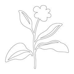 Blooming Garden Coloring Sheet – Line Art Flowers