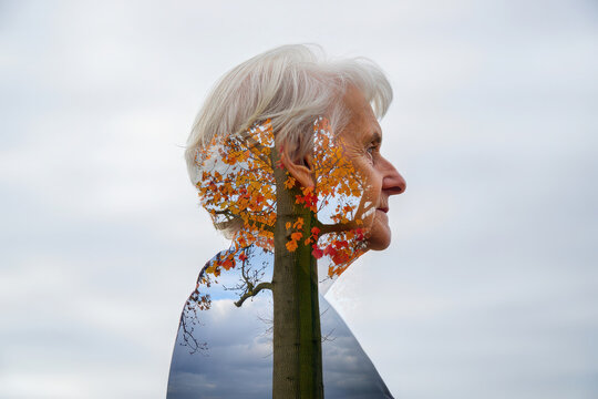 Elderly man s profile overlaid with autumn forest landscape