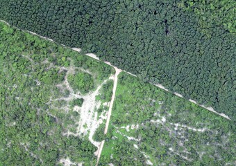 Top View Aerial Photograph