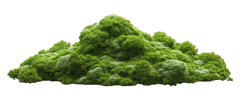 Lush green moss clump