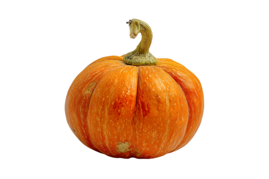 Orange pumpkin, autumn harvest, seasonal food on transparent background