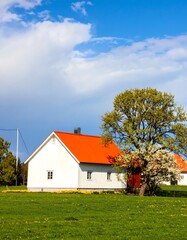 Rural white house with orange roof and blossoming tree
