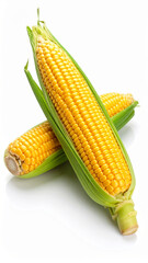sweet corn,isolated on white background