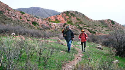 Two ordinary travelers are walking along a dirt mountain trail among hills, bushes and rocks....
