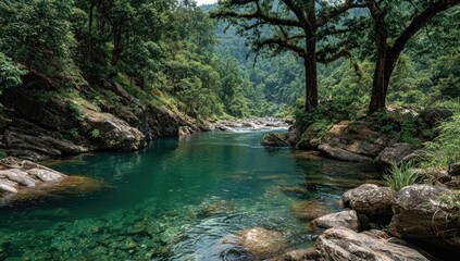 Naklejka premium Tranquil mountain stream, emerald pool. Lush green forest surrounds